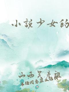 小说少女的心
