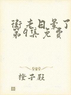 卫老日晕了淑蓉第9集免费