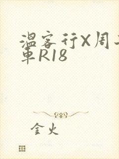 温客行X周子舒车R18