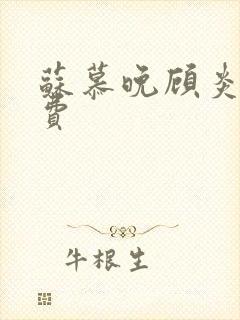 苏慕晚顾炎初免费