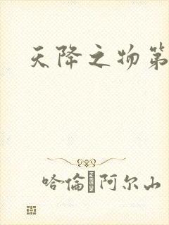 天降之物第一季