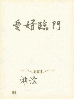 爱婿临门