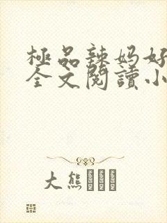 极品辣妈好v5全文阅读小说