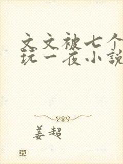 文文被七个男人玩一夜小说