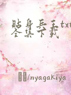 贴身兵王txt全集下载