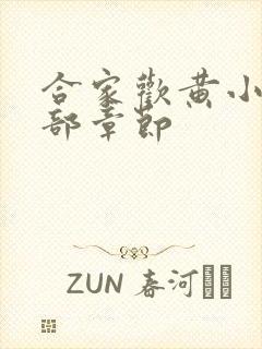 合家欢黄小梅全部章节