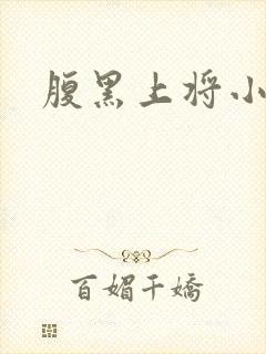 腹黑上将小小妻