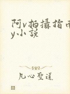 阿v拍摄指南by小说