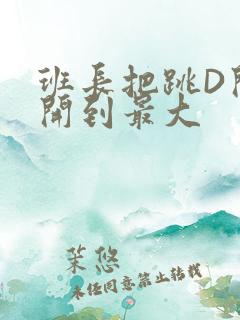 班长把跳D开关开到最大