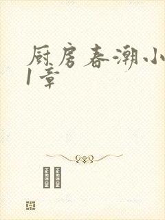 厨房春潮小说第1章