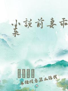 小说前妻乖乖回来