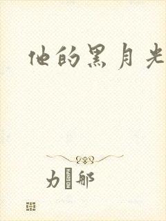他的黑月光