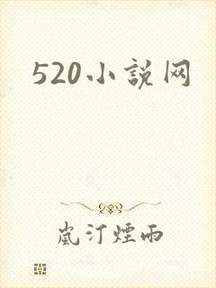 520小说网