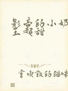 影帝的小奶狗舞王超甜