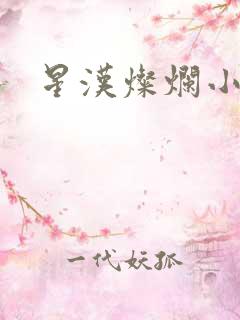 星汉灿烂小说