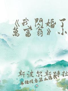 《我闪婚了个亿万富翁》小说