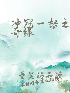 冲冠一怒之合租奇缘