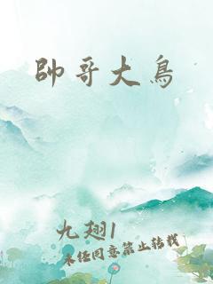 帅哥大鸟
