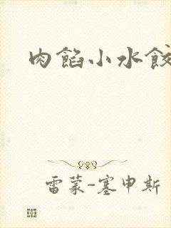 肉馅小水饺小说