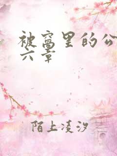 被窝里的公息十六章