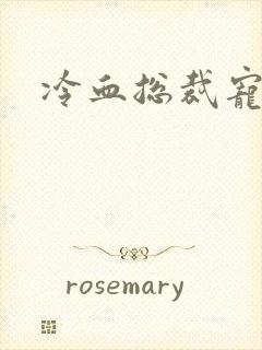 冷血总裁宠虐爱