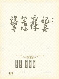 爆笑宠妃：爷我等你休妻