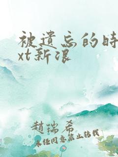 被遗忘的时光txt新浪