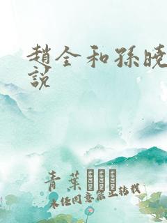 赵全和孙晓云小说