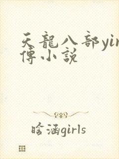 天龙八部yin传小说