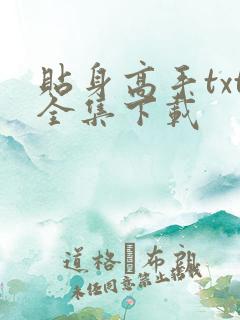 贴身高手txt全集下载