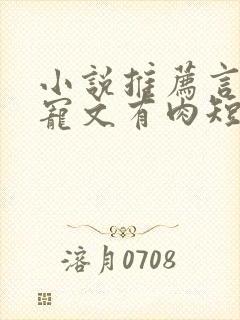 小说推荐言情甜宠文有肉短篇完结