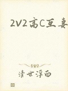 2V2高C互妻