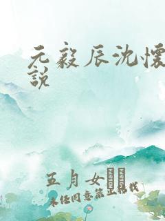 元毅辰沈怀妆小说