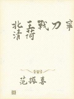 北王战刀宁北苏清荷