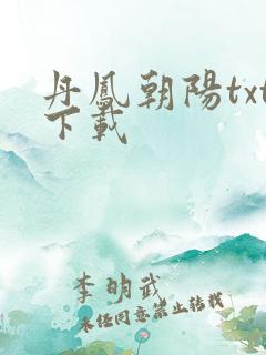 丹凤朝阳txt下载
