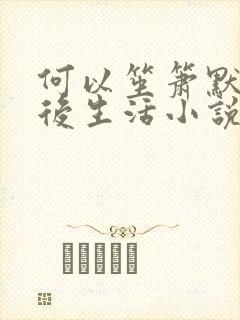 何以笙箫默之婚后生活小说