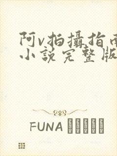 阿v拍摄指南说小说完整版