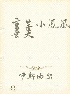 重生小凤凰的童养夫