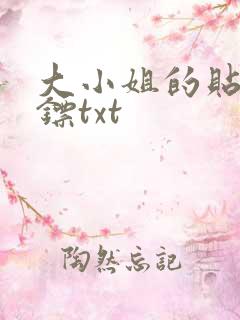 大小姐的贴身保镖txt