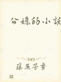 公媳的小说
