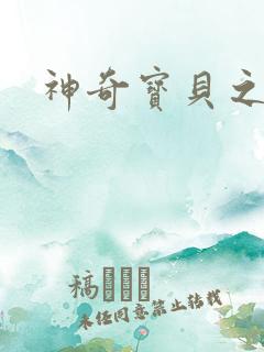 神奇宝贝之一辉