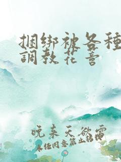 捆绑被各种工具调教花蒂