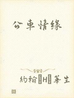 公车情缘
