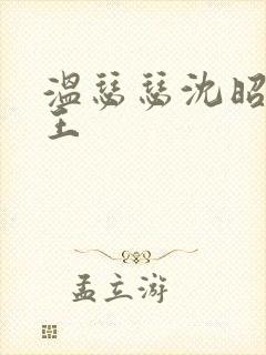 温瑟瑟沈昭摄政王