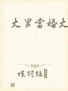 大男当婚大结局
