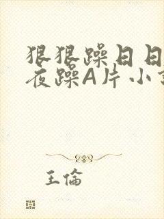 狠狠躁日日躁夜夜躁A片小说