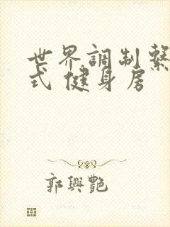 世界调制系统模式 健身房