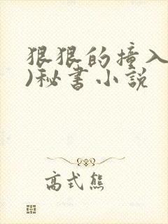 狠狠的撞入(h)秘书小说