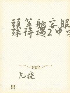 头等舱客服的特殊待遇2中字