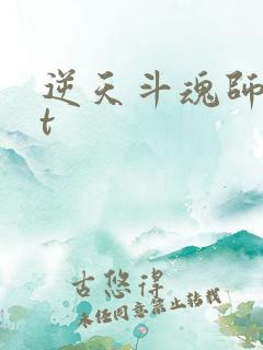 逆天斗魂师txt